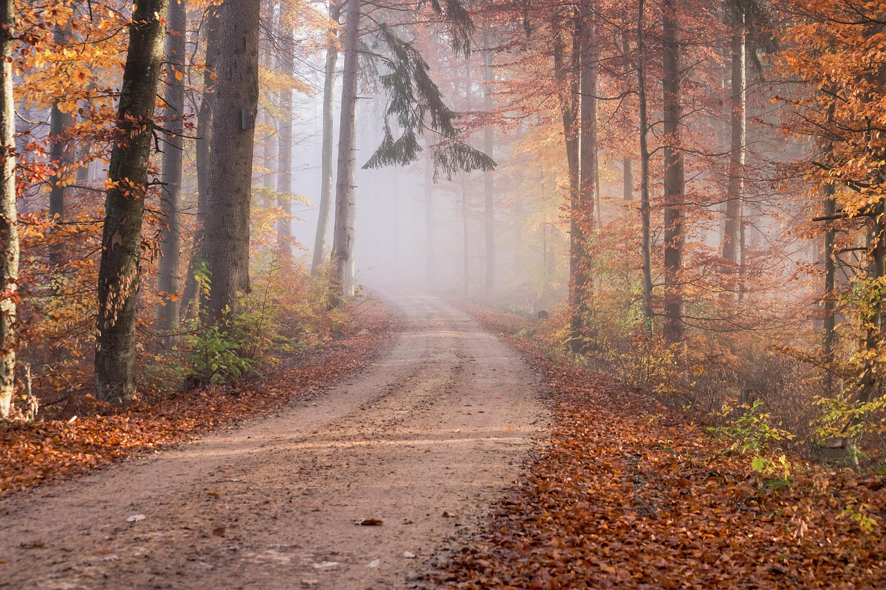 Lighting the Path: Encountering God’s Wisdom in Everyday Bible Study Tools