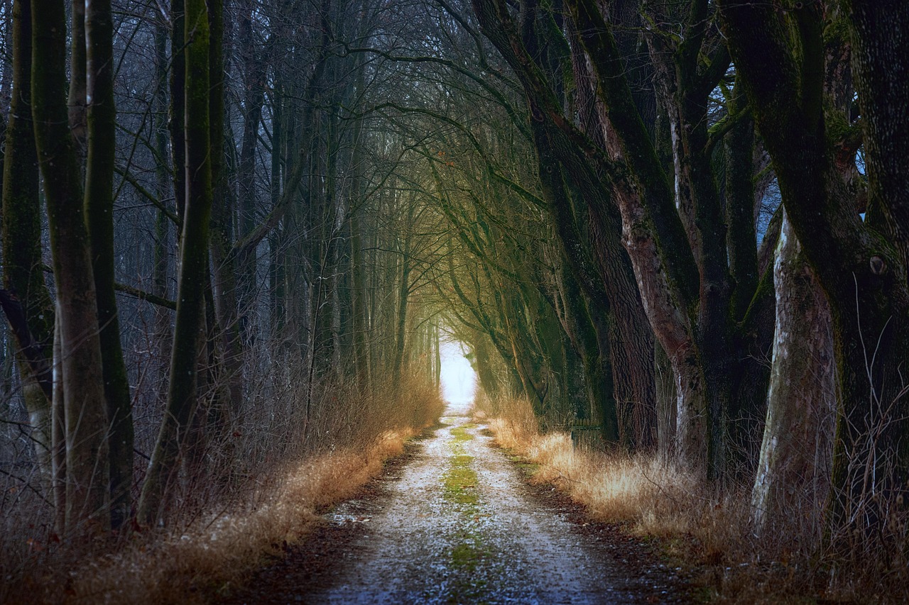 Light in Dark Places: Experiencing God’s Holiness Through Community Service